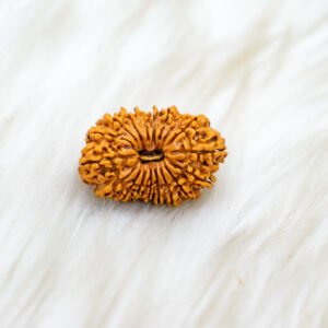 18 Mukhi Rudraksha