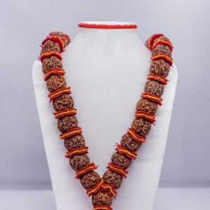 5 Mukhi Kantha Mala Collector 35 Beads