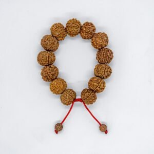 7 Mukhi Medium Bracelet