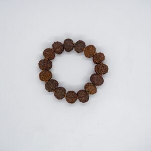 8 Mukhi Small Bracelet
