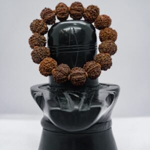 8 Mukhi Linga