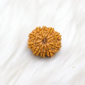 10 Mukhi