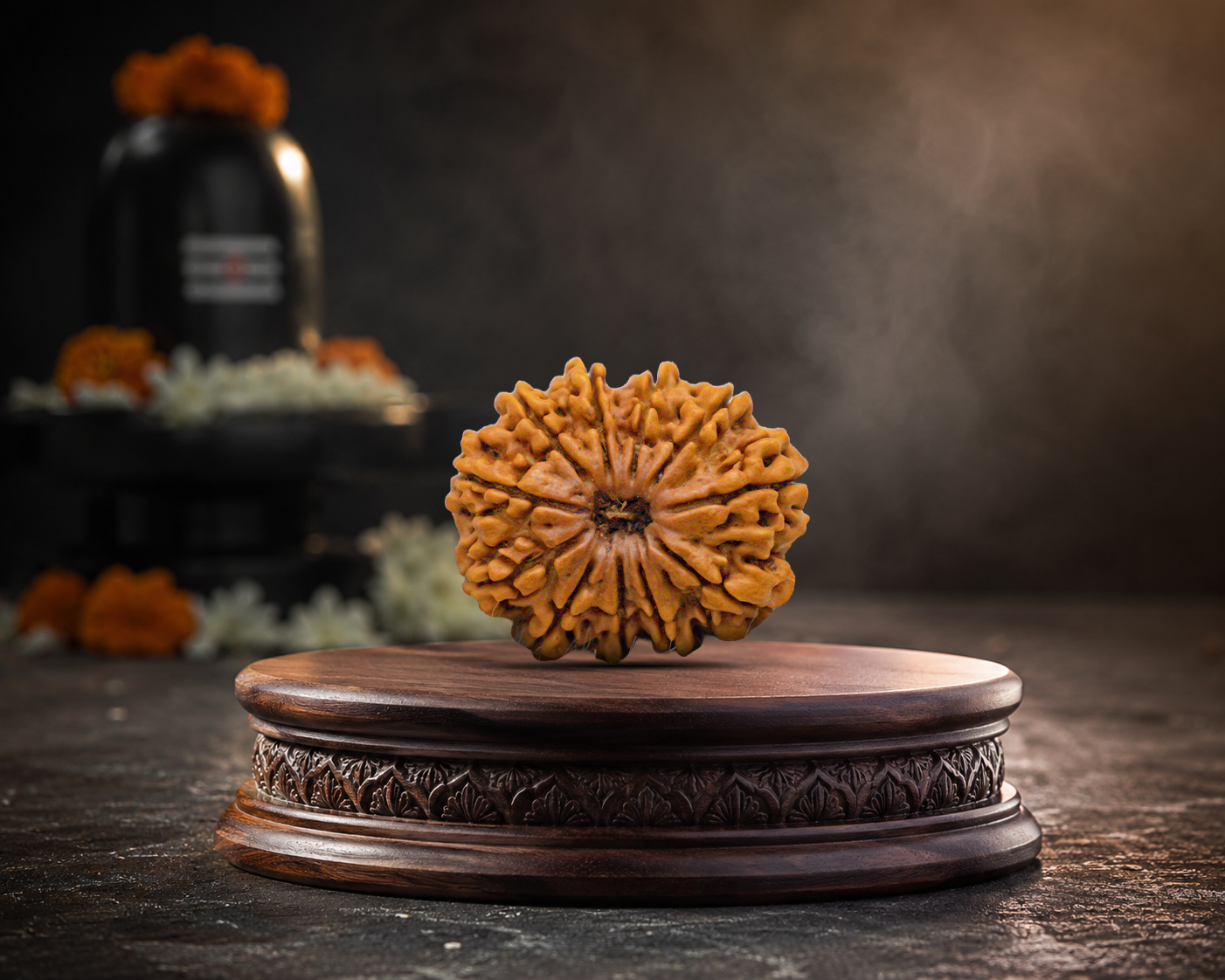 11 Mukhi Rudraksha