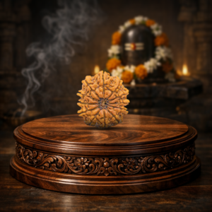 12 Mukhi Rudraksha