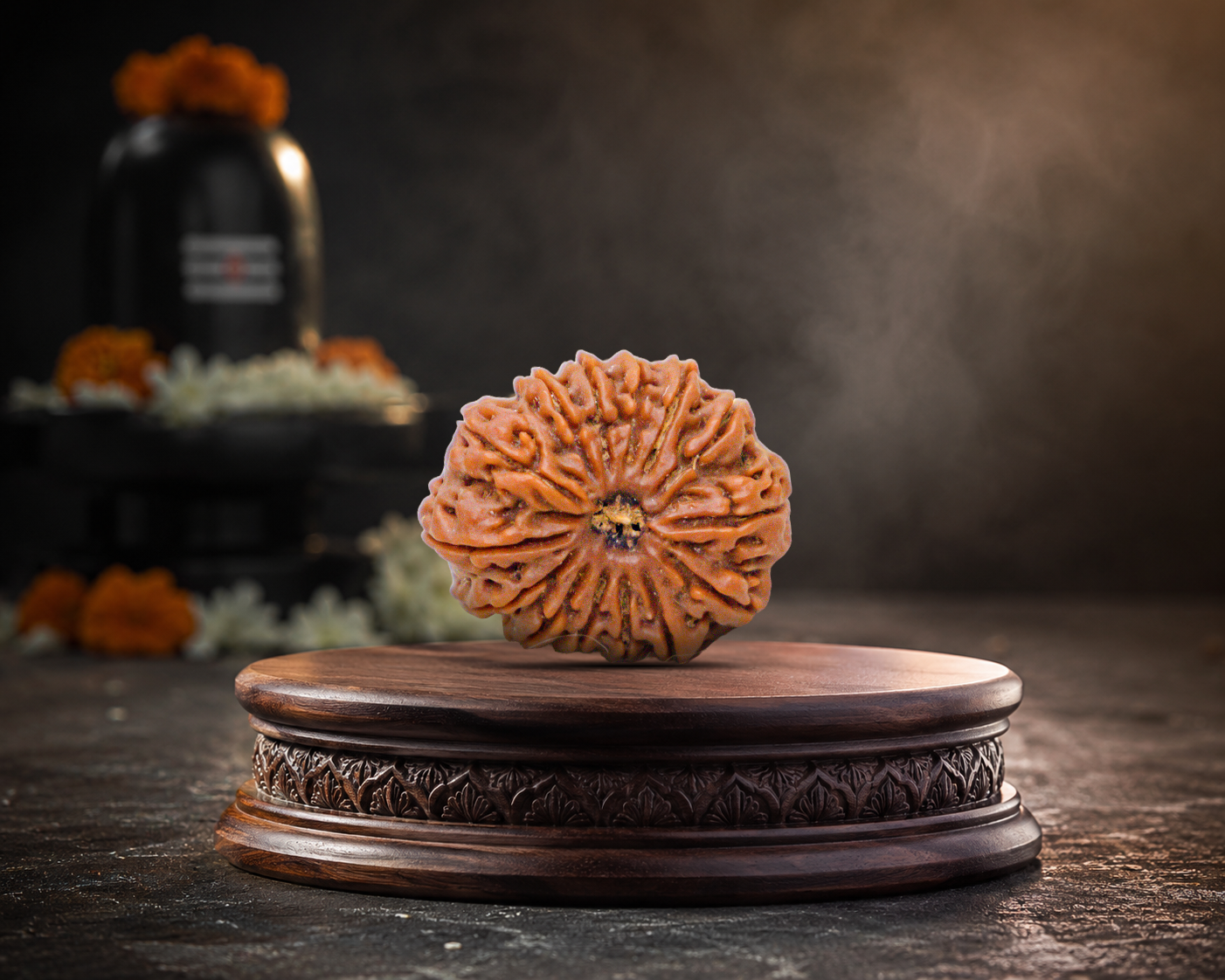 14 Mukhi Rudraksha