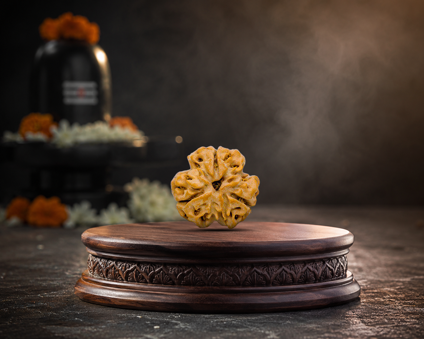 3 Mukhi Rudraksha - Image 3