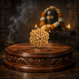 6 Mukhi Rudrakhsa