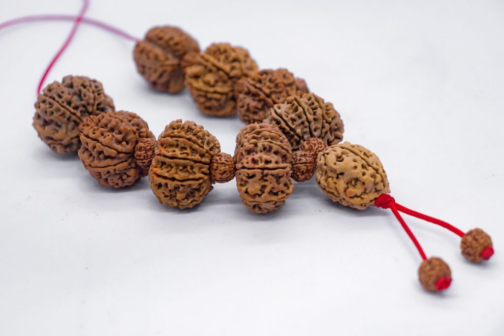 Authentic Rudraksha mala from Dingla