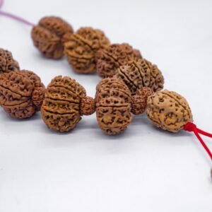 Collector Combination Mala