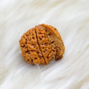 Ganesh Rudraksha