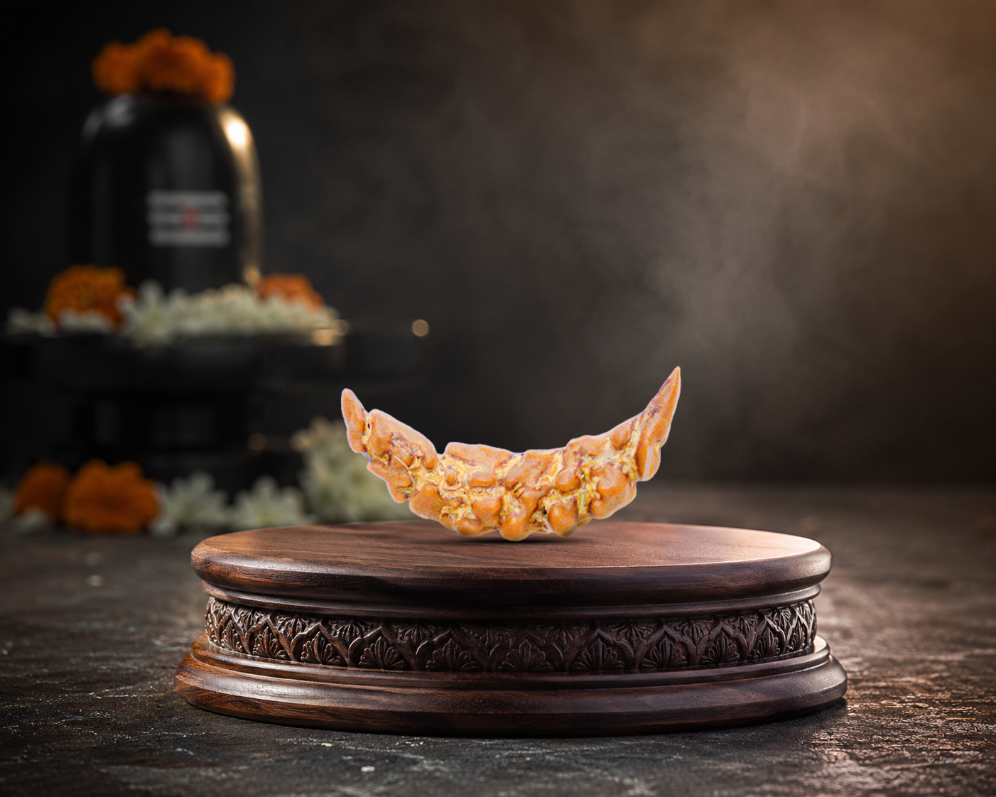 1 Mukhi Rudraksha (Moon Shaped) - Image 2