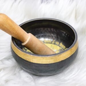 OM Namah Shivaya Printed Singing Bowl