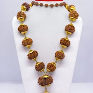 Siddha Mala with Panchadhatu Collector