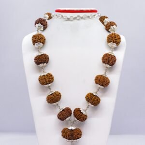 Siddha Mala with Silver Sphatik Collector