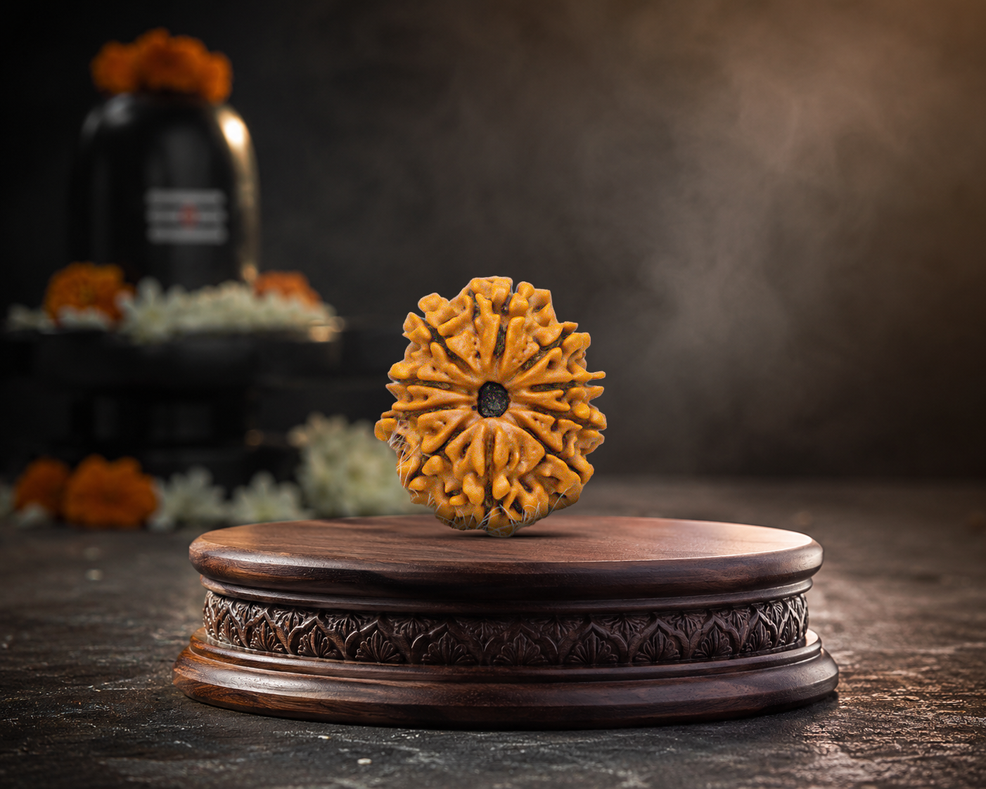 10 Mukhi Rudraksha - Image 5