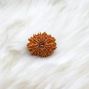 15 Mukhi