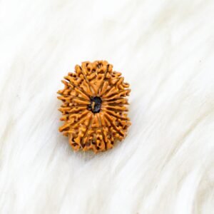 16 Mukhi