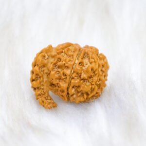 1 Mukhi (Sawar)