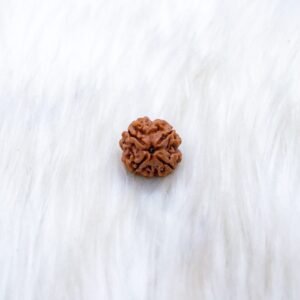 4 Mukhi