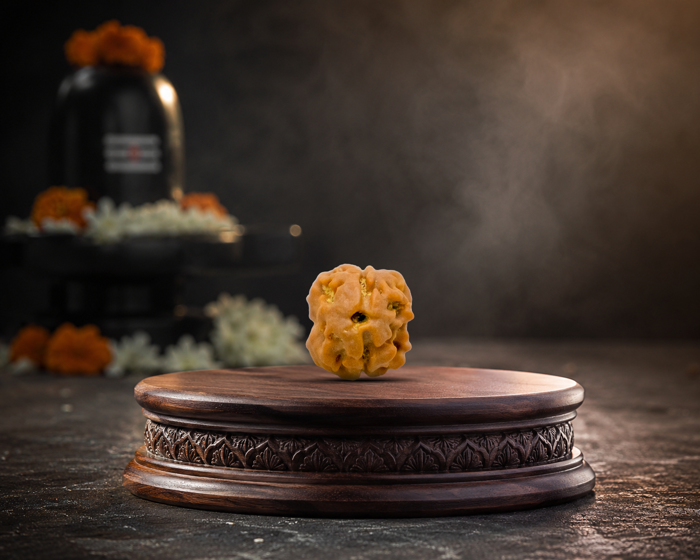 2 Mukhi Rudraksha - Image 3