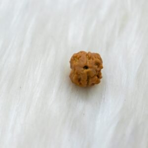 2 Mukhi