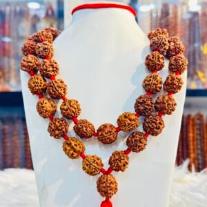 3 Mukhi Collector Size Mala